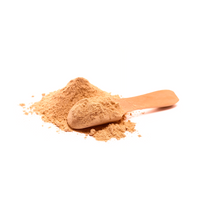Cordyceps Mushroom
